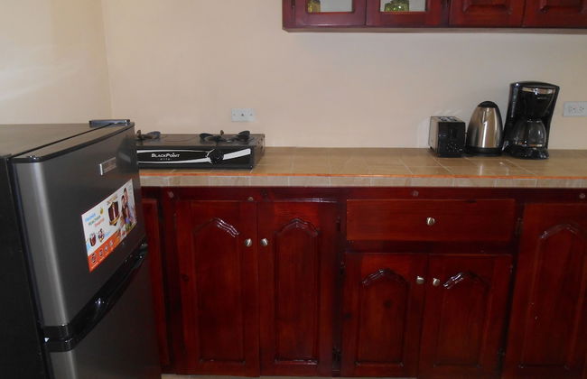 Solet's Paradise Negril - Photo 21