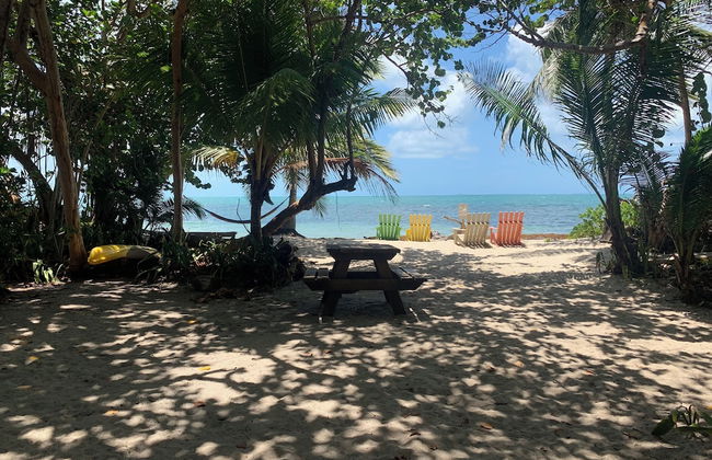 Finca Beachfront Tree house - Foto 24