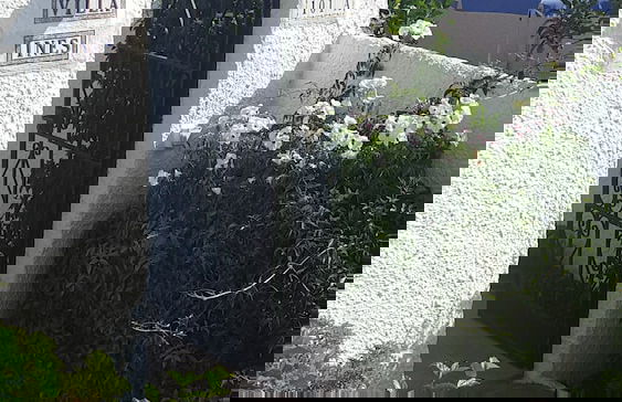 El Capistrano Sur - Foto 63