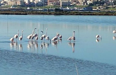 "la Casina del forno con piscina fra Catania e Siracusa " - Foto 35