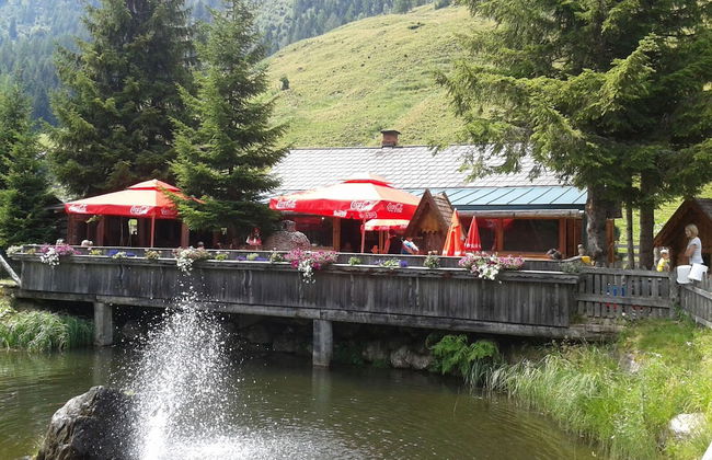 Schmiedalm - Foto 15