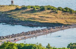 Apartment Vincent with beautiful sea view terrace - Foto 46