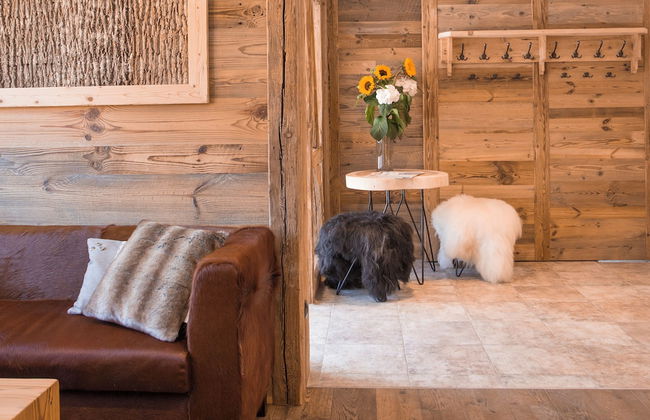 Alpin Lodges Oberjoch - Foto 2