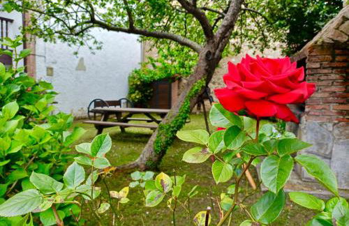 Casa Pelayo 2 - Foto 8