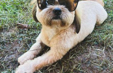 Casinha de Setiba - Foto 29