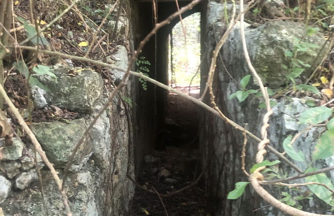 The Belair - Photo 35