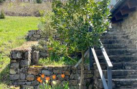 Little Garden cabin - Foto 1