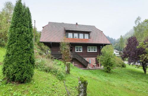 Hideaway Near Black Forest - Photo 29