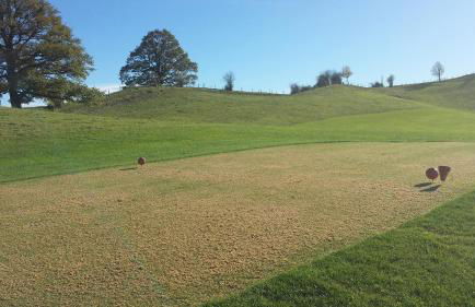 Ferienwohnung Pickenhan - Foto 33