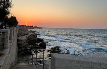 The White House - Foto 23