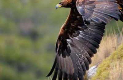 El Rincón de Mariela By Travel Home - Foto 48