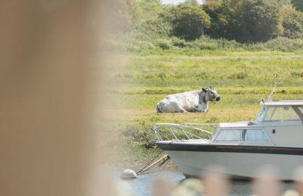Hot Tub With A View - Christchurch Harbour - Foto 38