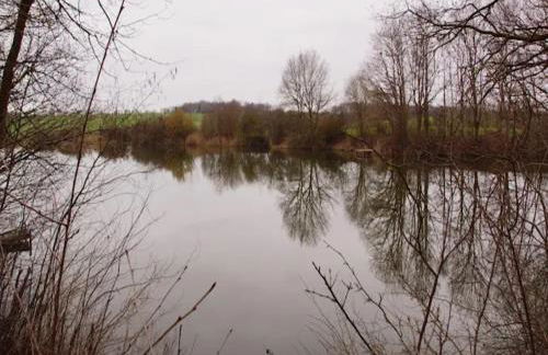 Moderne Ferienwohnung in Kluetz in Strandnahe - Foto 136