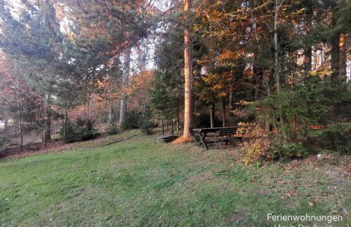 Ferienwohnungen Kremser bei Spiegelau Eppenschlag - Foto 51