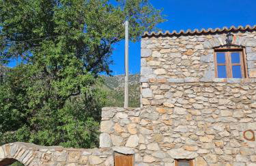 Studio Tsiliviani - Foto 25