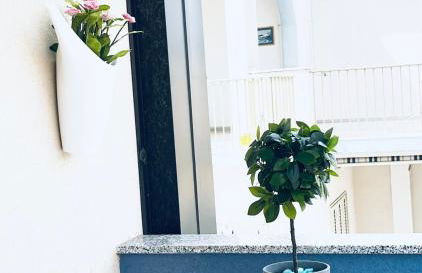 L'Ancora & il Timone - Foto 7