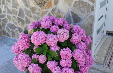 Apartman Lucia - Photo 9