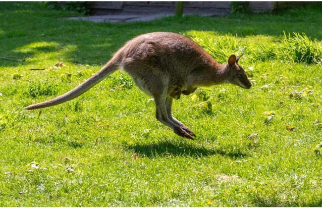 Apartment in Vrouwenpolder Near Beach - Foto 39