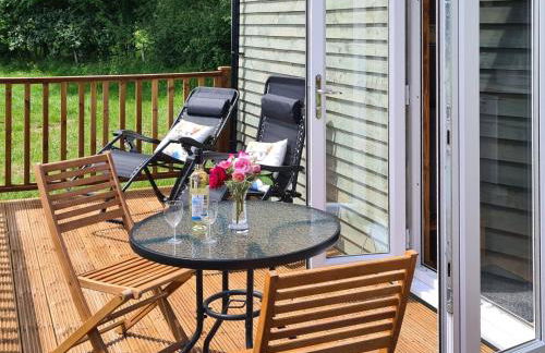 Badgers - Uk46750 - Foto 9