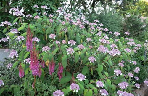 Ferienwohnung Josi , 64 qm 2 Zimmer - Foto 32