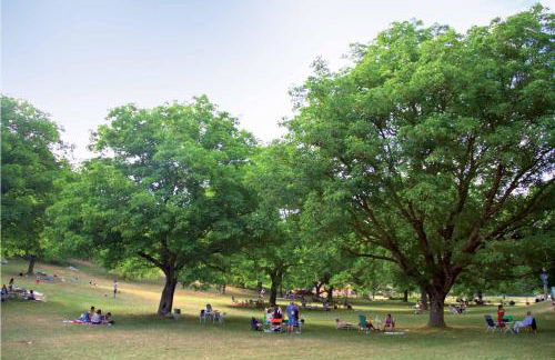 BOB HOUSE - Il Bellantonio - Foto 20