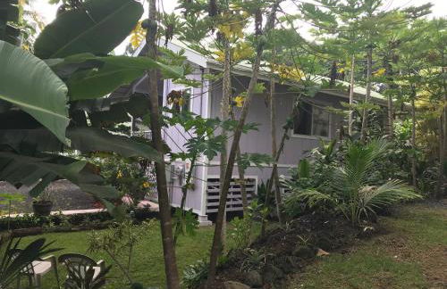 The Dolphin Cottage at Kehena Beach - Foto 17