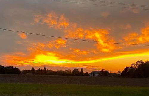 Villenouan domaine et gites - Photo 17