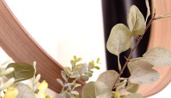 Coeur du Boulingrin - Foto 3