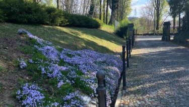 L' Antica Corte Lazzago - Foto 2