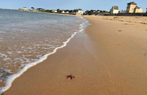 Valentin Beach Home ! un duplex sur la plage - Foto 43