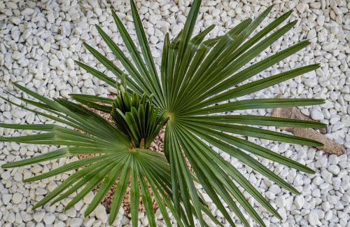 Apartman Casa Di Anna - Photo 44