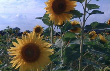 Ferienwohnung Weitblick - Photo 19