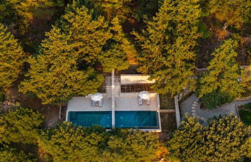 Forest View Villas - Foto 43