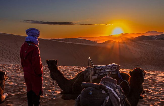 3 Tage von Fes nach Marrakesch Wüste Tour 2 Nächte - Foto 1