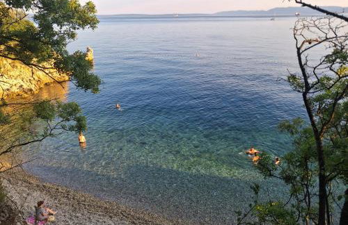 Apartman Karolina - Photo 46