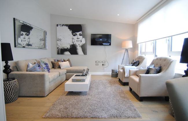 Lux St James Park Apartment Central London FREE WIFI by City Stay Aparts London - Foto 37