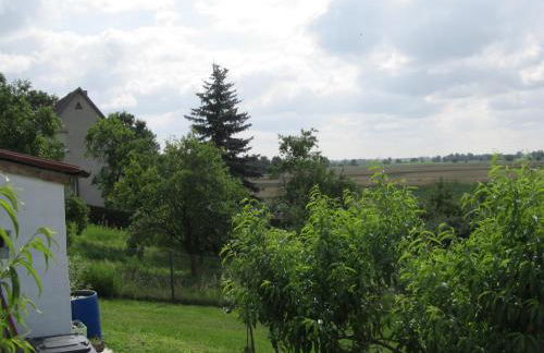 zum Wiesengrund im Oderbruch - Foto 13