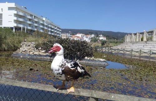 Atlantic Beach-side Apartment - Foto 40