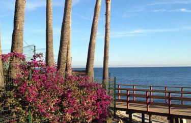 Divina Home Apartments - Photo 76