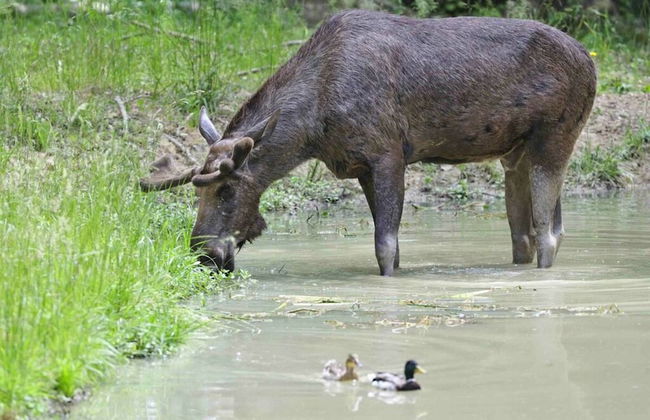 Apartment in Tauberbischofsheim - Foto 14