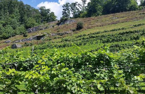 On top of the world at Sugar Top Resort - Foto 39