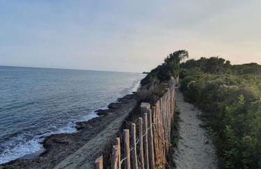 Casa Lamaghjone - Villa T4 avec piscine chauffée à 3,5km de la mer - Foto 67