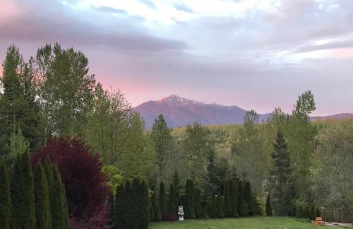 Mountain View Estate Forest Hot Tub Full Arcade - Foto 37