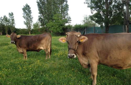 Agriturismo Villa Irelli - Photo 15