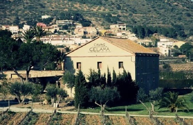 Mas Gelamà - Foto 34