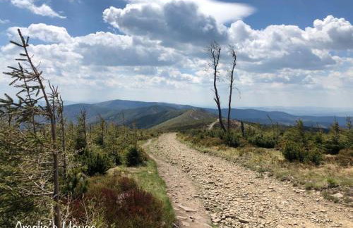 Amelie's House - Foto 54