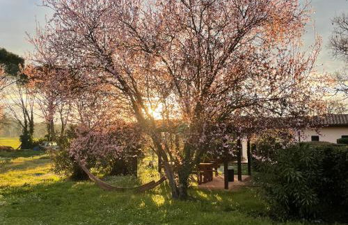 Casa Vacanze Nonna Vittoria - Photo 9