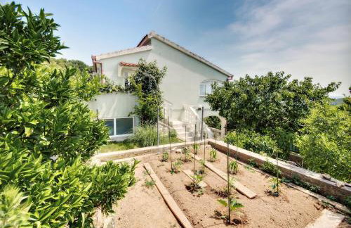 Apartments by the sea Prvic Luka, Prvic - 12064 - Photo 2