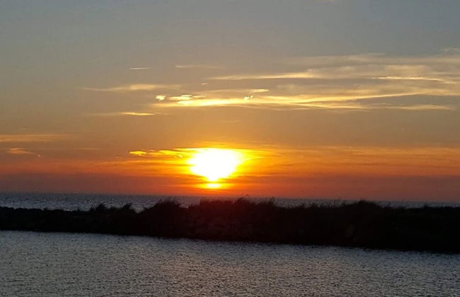 12 Person Holiday Home in Rodby - Foto 49