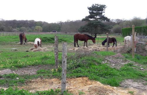 Maison De Charme - Foto 18